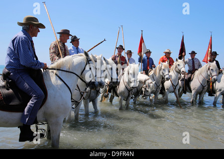 Wächter auf dem Pferderücken begleiten die Prozession zum Meer, Wallfahrtsort Les Saintes-Maries-de-la-Mer, Bouches-du-Rhône, Frankreich Stockfoto