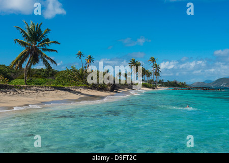 Strand von Long-Haul-Bucht, Insel Nevis, St. Kitts und Nevis, Leeward-Inseln, West Indies, Karibik Stockfoto