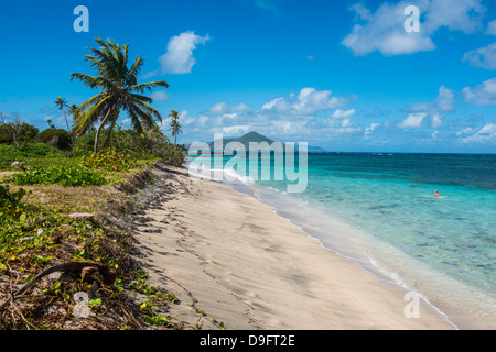 Strand von Long-Haul-Bucht, Insel Nevis, St. Kitts und Nevis, Leeward-Inseln, West Indies, Karibik Stockfoto