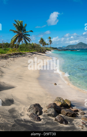 Strand von Long-Haul-Bucht, Insel Nevis, St. Kitts und Nevis, Leeward-Inseln, West Indies, Karibik Stockfoto