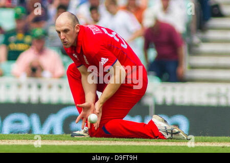 London, UK. 9. Juni 2013. Englands James Tredwell während der ICC Champions Trophy Semi final internationalen Cricket match zwischen England und Südafrika bei The Oval Cricket Ground am 19. Juni 2013 in London, England. (Foto von Mitchell Gunn/ESPA/Alamy Live-Nachrichten) Stockfoto