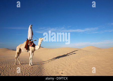 Dromedar-Fahrer in der Sahara Douz, Kebili, Tunesien, Afrika Stockfoto