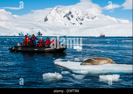 Touristen in ein Zodiac vor Gletscher in Mittelklassemodelle Bucht Blick auf einen Leoparden zu versiegeln, Antarktis, Polarregionen Stockfoto