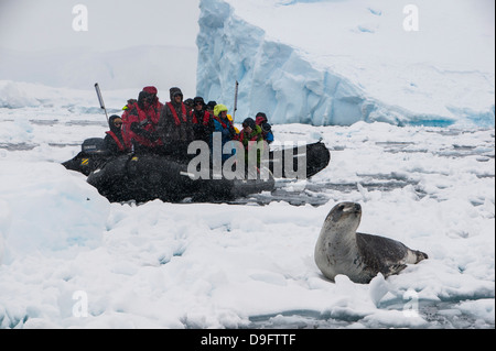 Touristen in einem Zodiac betrachten ein Seeleopard (Hydrurga Leptonyx), Enterprise Island, Antarktis, Polarregionen Stockfoto