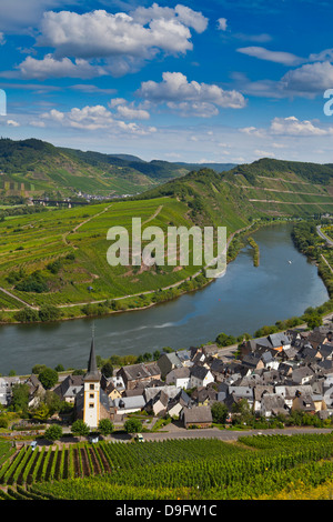 Der berühmte Bogen in der Nähe von Bremm an der Mosel, Rheinland-Pfalz, Deutschland Stockfoto