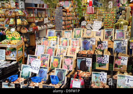 Blumenmarkt, Amsterdam, Niederlande - Jan 2012 Stockfoto
