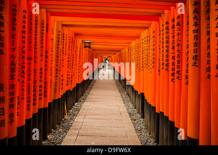 Die endlosen roten Toren Kyotos Fushimi Inari Schrein, Kyoto, Japan Stockfoto