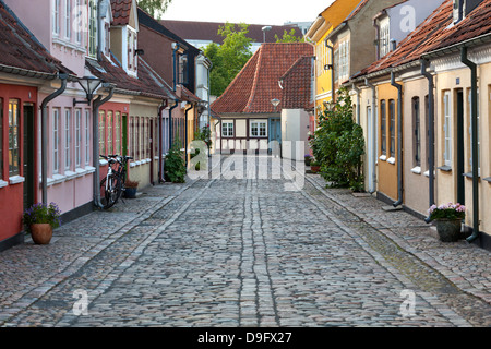 Gepflasterte Gasse in der Altstadt der Armen, Stadt der Bettler, Odense, Fyn, Dänemark, Skandinavien Stockfoto