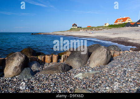 Blick entlang Strand, Gammel Skagen, Jütland, Dänemark, Skandinavien