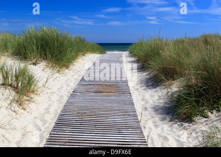 Weg durch die Dünen nach Strand, Albaek, Nord-Jütland, Dänemark, Skandinavien Stockfoto