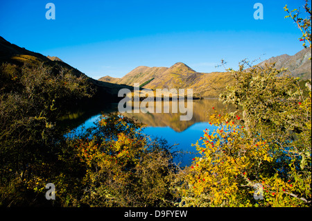 Am frühen Morgen Reflexionen an Lake Moke, Queenstown, Otago, Südinsel, Neuseeland Stockfoto