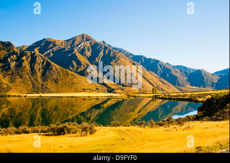 Am frühen Morgen Reflexionen an Lake Moke, Queenstown, Otago, Südinsel, Neuseeland Stockfoto