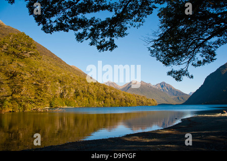 Lake Gunn Berg Reflexionen, Fjordland National Park, UNESCO-Weltkulturerbe, Südinsel, Neuseeland Stockfoto