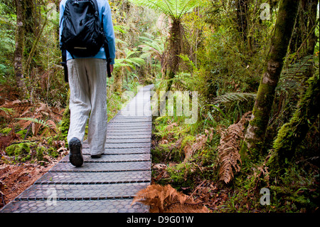 Touristen auf dem Weg in den Wald rund um Lake Matheson, Westland National Park, der UNESCO, Südinsel, Neuseeland Stockfoto