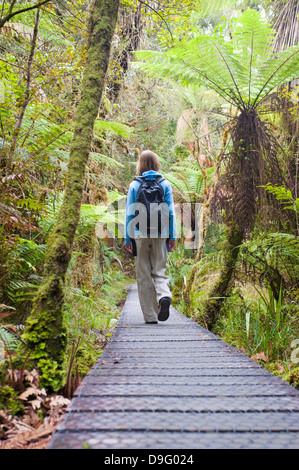 Lake Matheson, Tourist auf dem Gehweg in Wald, Westland-Nationalpark, Südinsel, Neuseeland Stockfoto