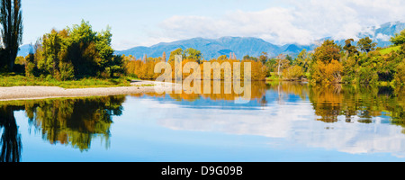 Reflexion der Herbst Bäume auf Takaka River, Golden Bay, Tasman Region, Südinsel, Neuseeland Stockfoto