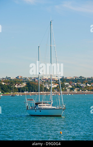 Segelboot im Waitemata Harbour, Auckland, Nordinsel, Neuseeland Stockfoto