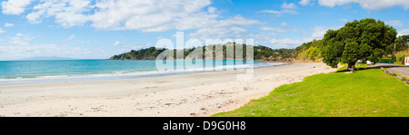 Oneroa Strand, Waiheke Island, Auckland, Nordinsel, Neuseeland Stockfoto