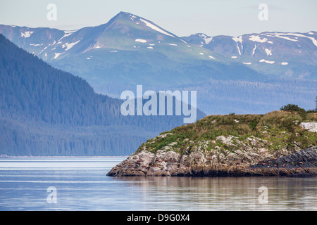 Norden (Steller) Seelöwen (Eumetopias Jubatus), Marmor Südinsel, Glacier Bay Nationalpark, südöstlichen Alaska, USA Stockfoto