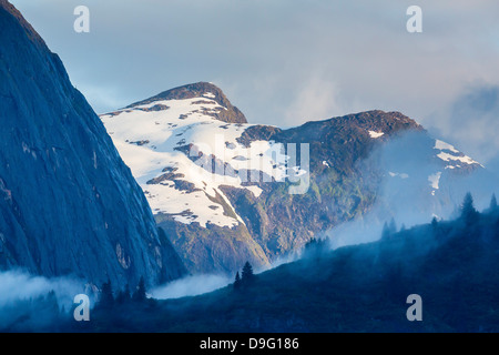 Nebel in den Bäumen im Tracy Arm-Fords Terrors Wildnis Bereich, südöstlichen Alaska, USA Stockfoto