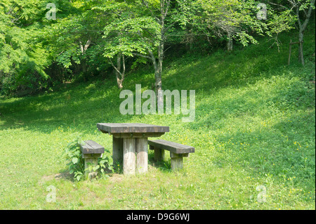 Tisch und Bänke im Wald Stockfoto