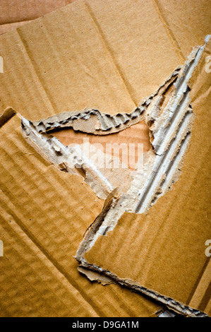 Pappe gerissen Stockfoto