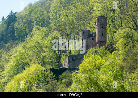 Ruinen der alten Schwalbennest Burg am Hang außerhalb Neckarsteinach am Fluss Neckar in Süddeutschland Stockfoto