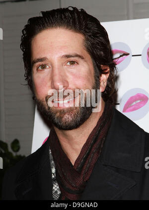 David Schwimmer hielt die Premiere des "Girls Talk" Darsteller Brooke Shields am Lee Strasberg Theatre - Ankünfte Los Angeles, Kalifornien - 18.03.11 Stockfoto