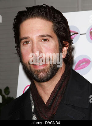 David Schwimmer hielt die Premiere des "Girls Talk" Darsteller Brooke Shields am Lee Strasberg Theatre - Ankünfte Los Angeles, Kalifornien - 18.03.11 Stockfoto