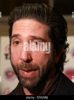 David Schwimmer hielt die Premiere des "Girls Talk" Darsteller Brooke Shields am Lee Strasberg Theatre - Ankünfte Los Angeles, Kalifornien - 18.03.11 Stockfoto