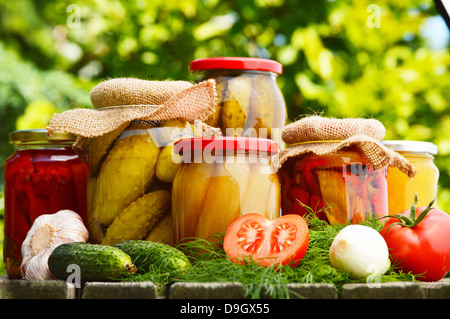 Gläser von eingelegtem Gemüse im Garten. Marinierte Lebensmittel Stockfoto
