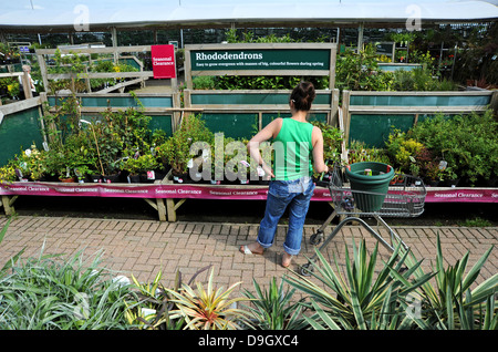 Frau in einem Wyevale Garten Blick auf Rhododendron Pflanzen UK einkaufen Stockfoto