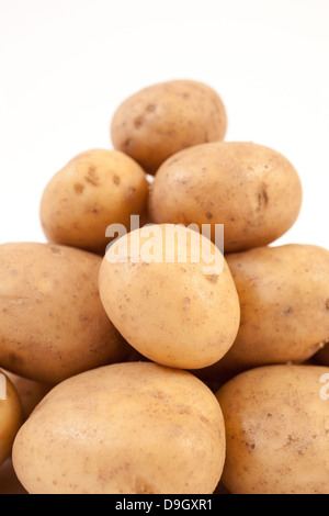 Frische Kartoffeln isoliert auf einem weißen Hintergrund. Stockfoto