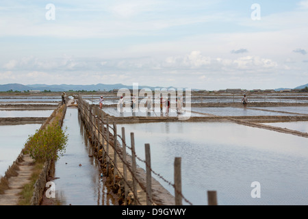 Die Salzfelder von Kampot in Kambodscha Stockfoto