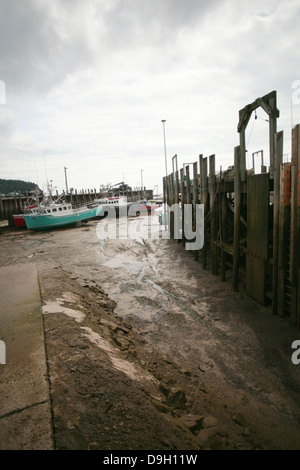 Die Bay Of Fundy bei Ebbe in Alma, Neubraunschweig. Stockfoto