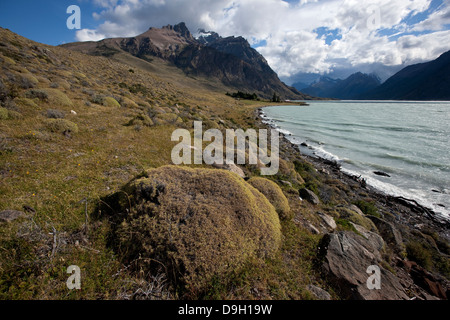 Glacier Nationalpark. Bucht See Viedma Stockfoto