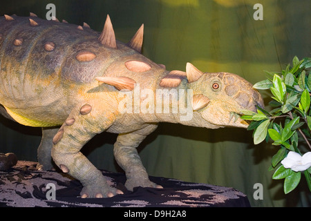 Europa, Italien, Lombardei, Cremona, Ausstellung von Dinosaurier-οπλον- Stockfoto