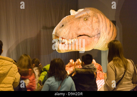 Europa, Italien, Lombardei, Cremona, Ausstellung der Reproduktion der Dinosaurier, tyrannosaus Stockfoto