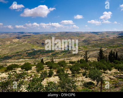 Landschaft am Berg Nebo, Jordanien, Naher Osten Stockfoto