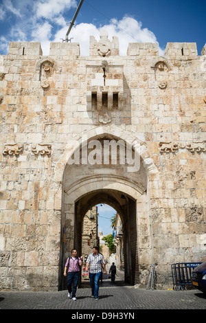 Das Löwen-Tor in der alten Stadt, Jerusalem, Israel. Stockfoto