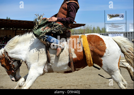 Eine Nahaufnahme von einem Cowboy Reiten Ruckeln Stockfoto