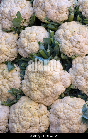 Asien, Indien, Karnataka, Mysore, Devaraja Markt, Blumenkohl Stockfoto