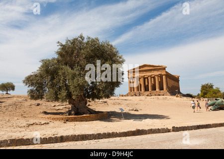 Tempio della Concordia, Concord Temple, Valle dei Templi, Agrigento, Sizilien, Italien Stockfoto