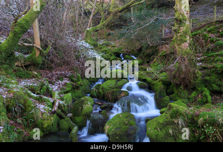 Ein kleiner Wasserfall an der Unterseite der Cwm Amarch auf Cadair Idris Stockfoto