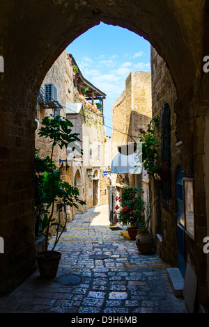 Die alte Gassen kleine des historischen Gebäudes Jaffa, Israel, Stockfoto