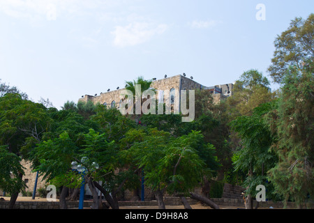 Das alte Haus ist hinter grünen Bäumen in Jaffa Stockfoto