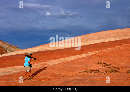 Valley of Fire State Park, Nevada Stockfoto