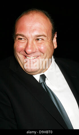 19. Juni 2013 - hat James Gandolfini, Star der HBO Serie "The Sopranos" an einem möglichen Herzinfarkt in Rom starb. Er war 51. Gandolfino war bekannt für seine Rolle als Tony Soprano in der HBO-Serie "The Sopranos". Im Bild: 23. Juni 2005 - New York, New York, USA - JAMES GANDOLFINI '' Joe Dimaggio Award '' im Waldorf Astoria zu erhalten. (Kredit-Bild: © Mitchell Levy/Globe Photos/ZUMAPRESS.com) Stockfoto