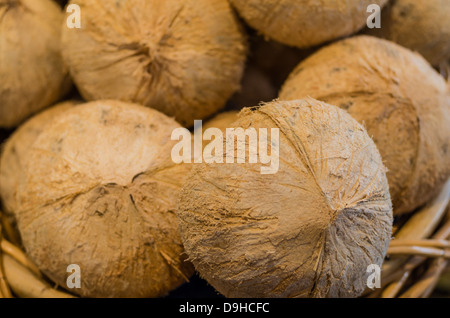 Erntefrische Kokosnüsse auf dem Display auf dem Bauernmarkt Stockfoto