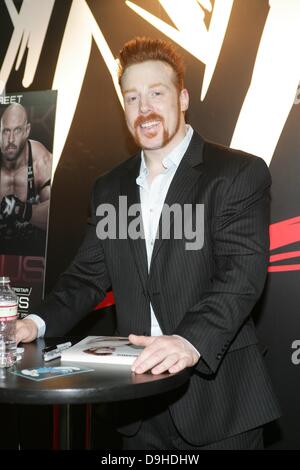 Las Vegas, Nv, USA. 19. Juni 2013. Sheamus im Inneren für die Lizenzierung Expo 2013 - Mi, im Mandalay Bay Events Center, Las Vegas, Nv, USA 19. Juni 2013. Bildnachweis: James Atoa/Everett Collection/Alamy Live-Nachrichten Stockfoto